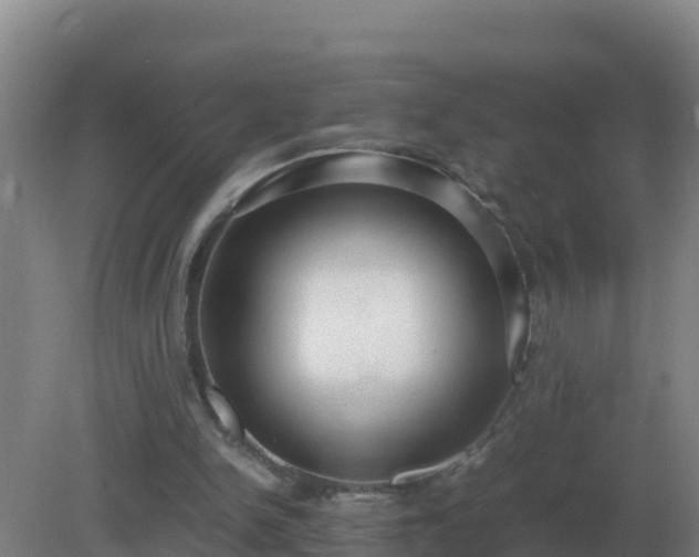 X0000081370150200701182148