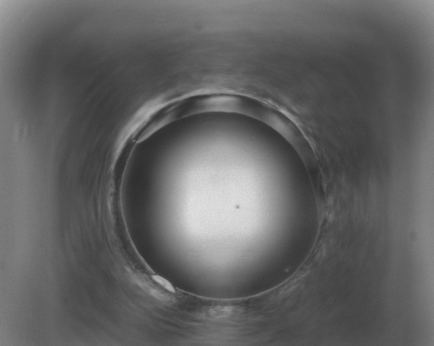 X0000081370152200701182148