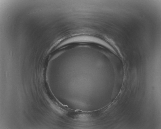 X0000081370154200701182148