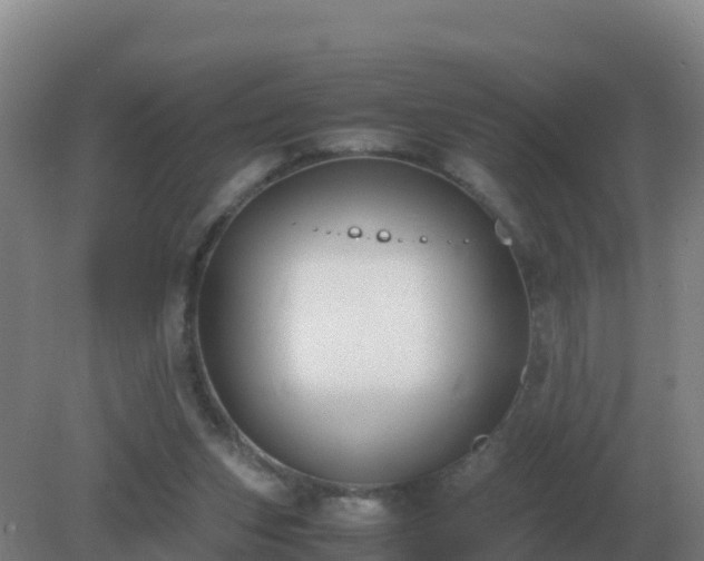 X0000081370159200701182148