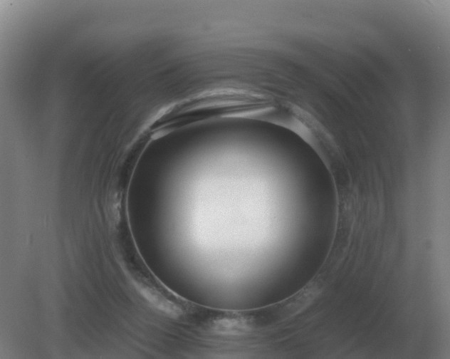 X0000081370160200701182148