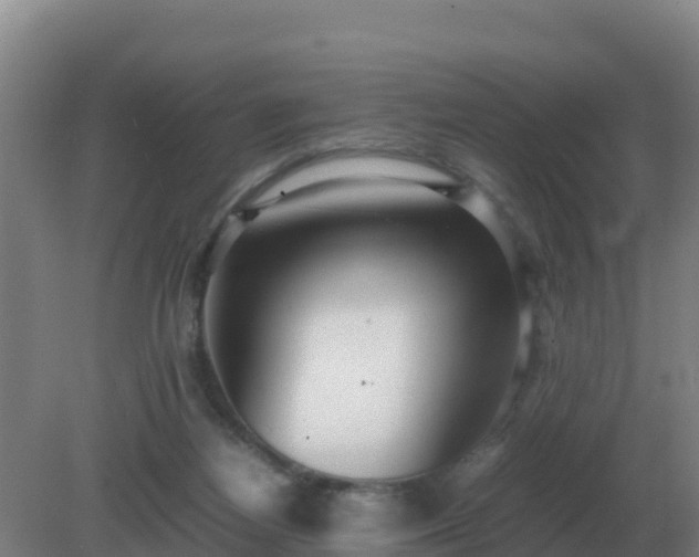 X0000081370164200701182148
