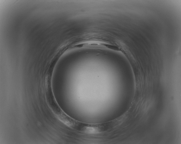 X0000081370167200701182148