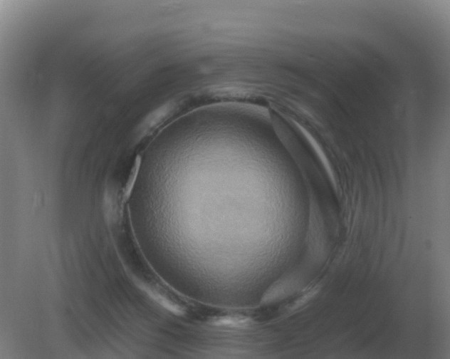 X0000081370168200701182148
