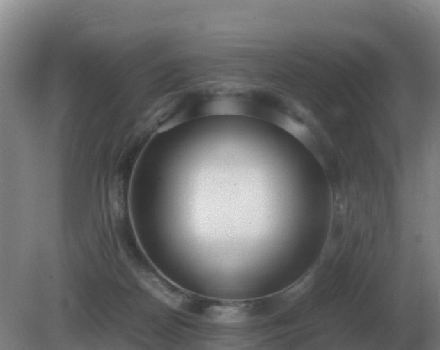 X0000081370170200701182148