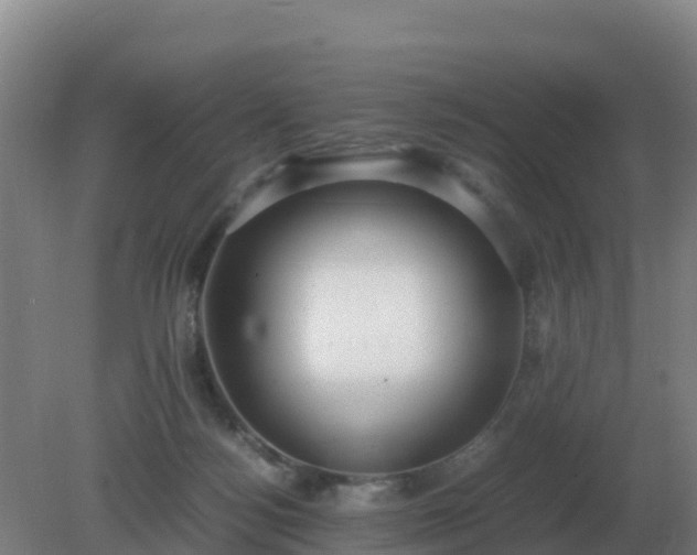 X0000081370172200701182148