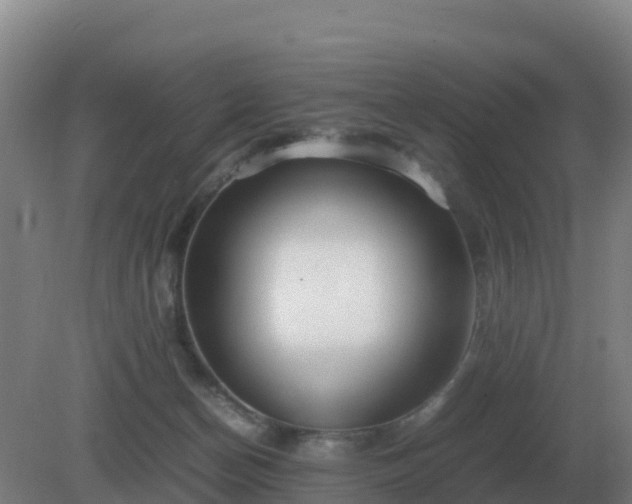 X0000081370174200701182148