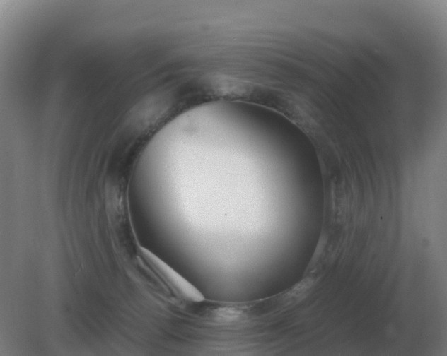 X0000081370176200701182148