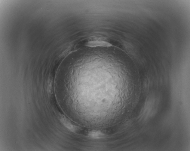 X0000081370177200701182148