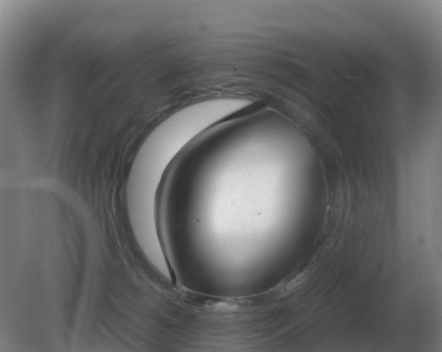 X0000081370180200701182148