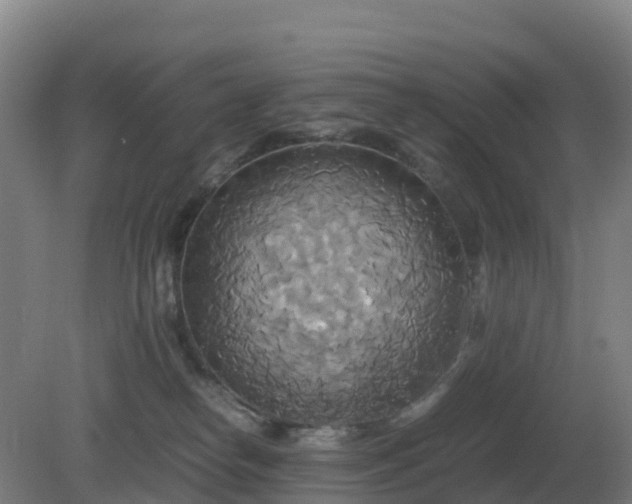 X0000081370182200701182148