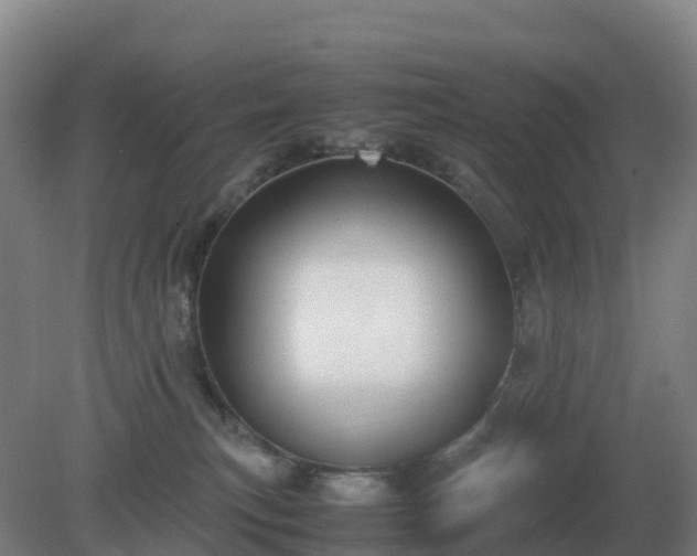 X0000081370183200701182148