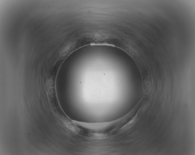 X0000081370184200701182148