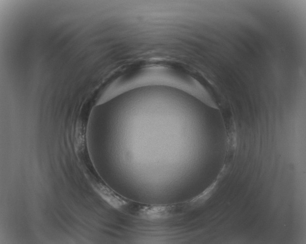 X0000081370186200701182148
