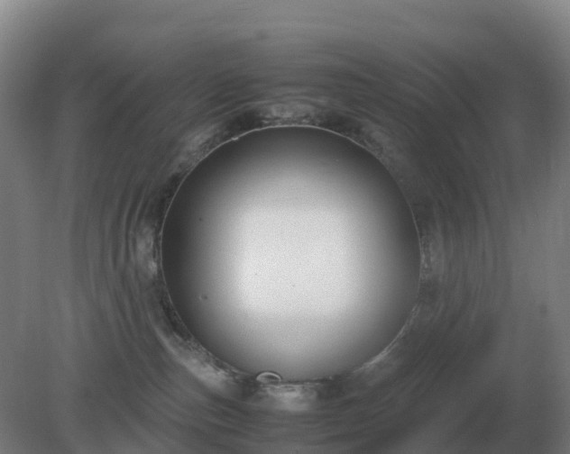 X0000081370187200701182148