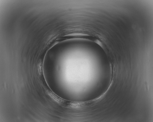 X0000081370190200701182148
