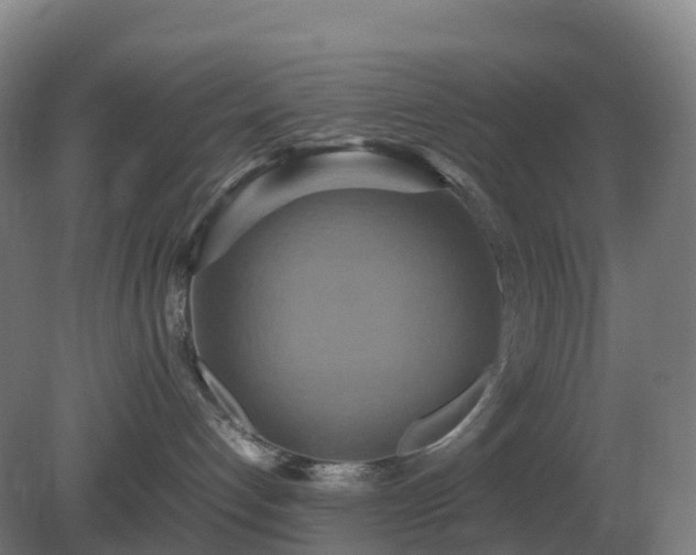 X0000081370192200701182148