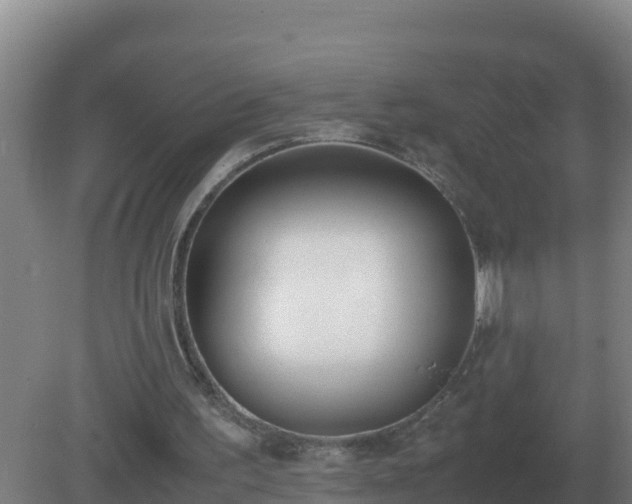 X0000081370195200701182148