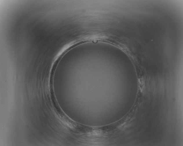 X0000081370196200701182147