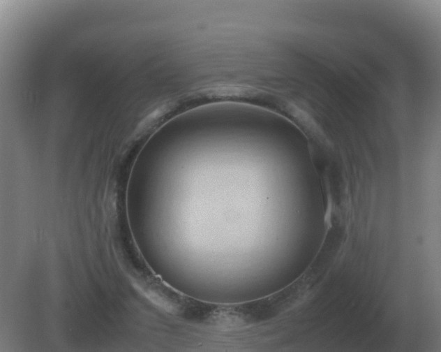 X0000081370207200701182147