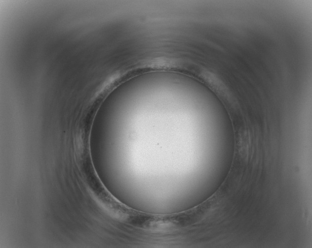 X0000081370208200701182147