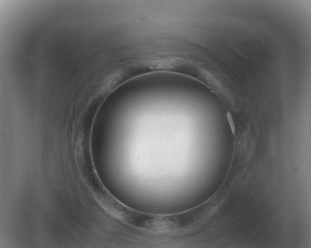 X0000081370209200701182147