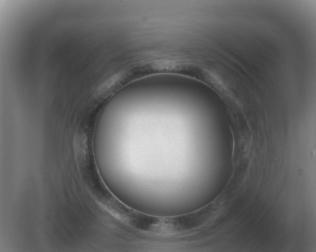 X0000081370211200701182147