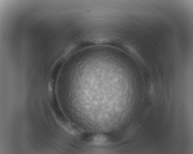 X0000081370214200701182147