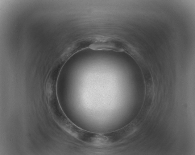 X0000081370215200701182147