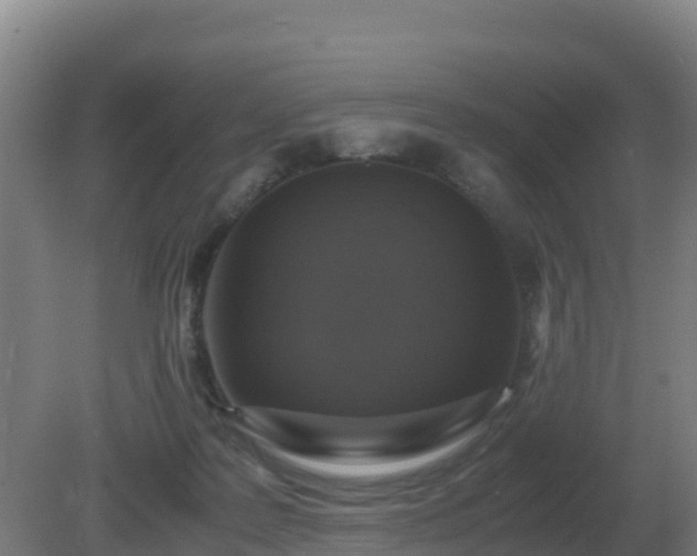 X0000081370219200701182147