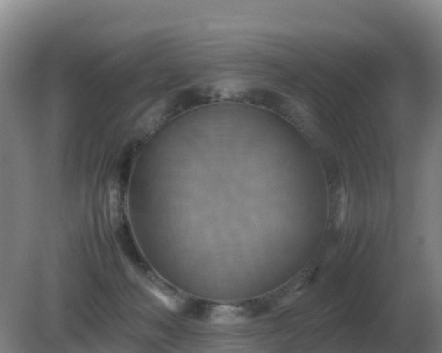 X0000081370222200701182147