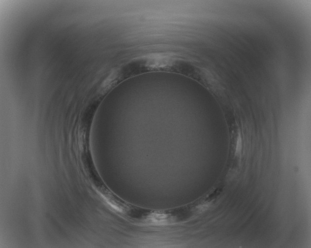 X0000081370227200701182147