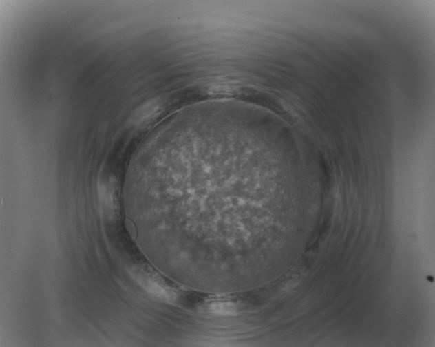 X0000081370228200701182147