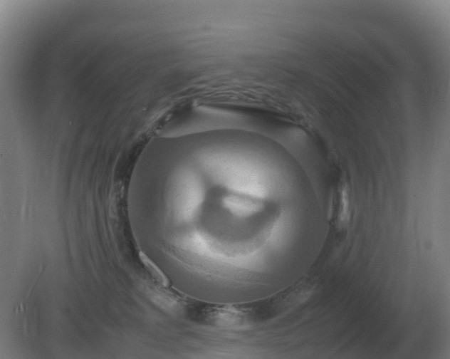 X0000081370229200701182147