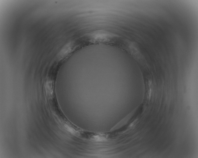 X0000081370232200701182147
