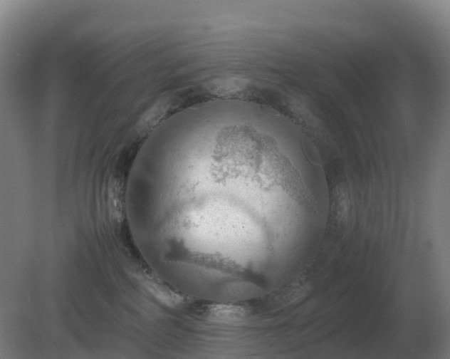 X0000081370234200701182147