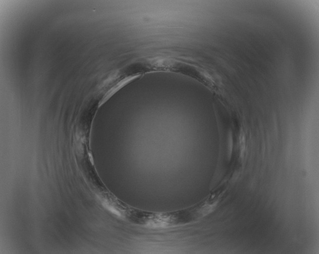 X0000081370235200701182147