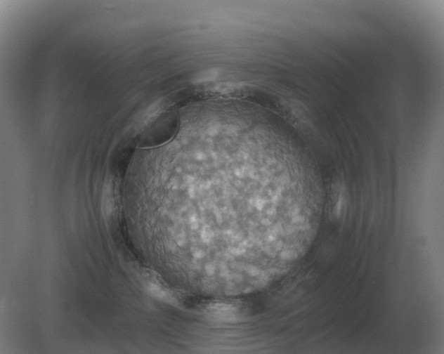 X0000081370236200701182147