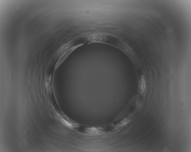 X0000081370239200701182147