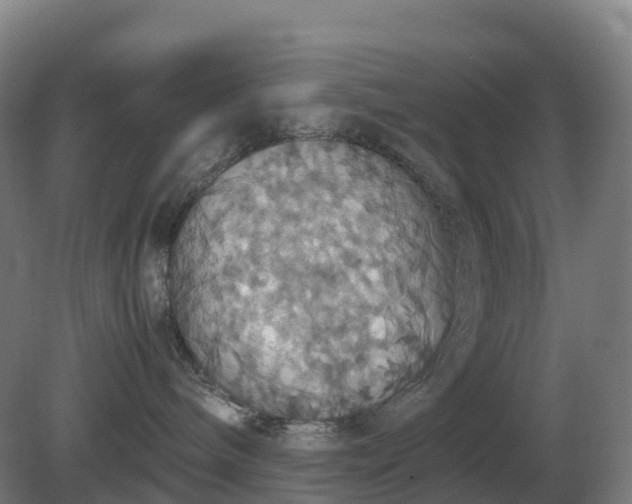 X0000081370240200701182147