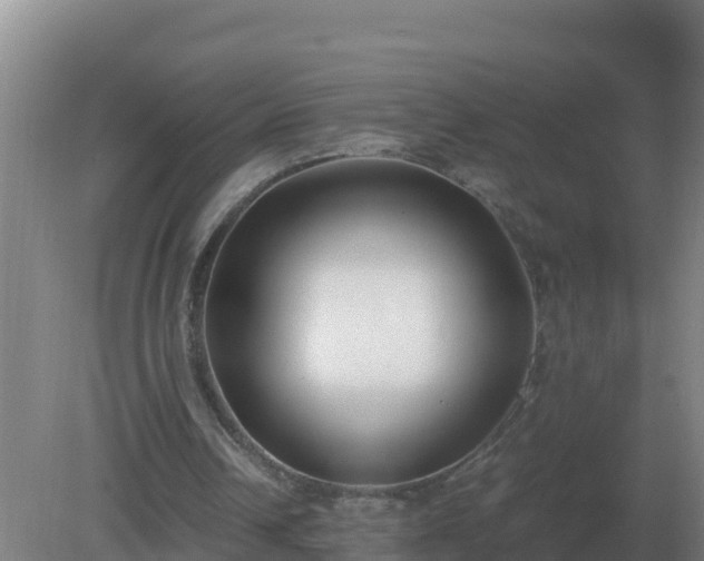 X0000081370242200701182146