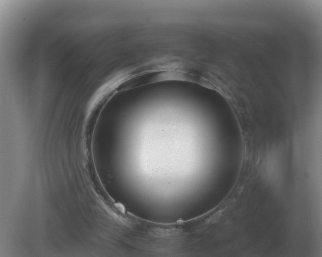 X0000081370245200701182146