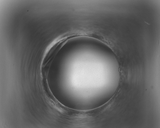 X0000081370246200701182146