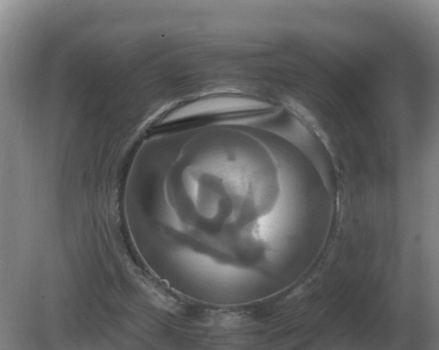 X0000081370249200701182146