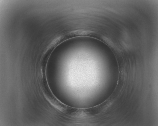 X0000081370254200701182146
