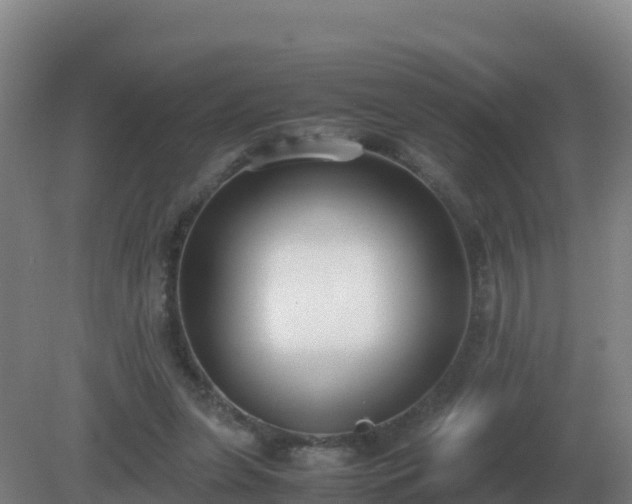 X0000081370255200701182146