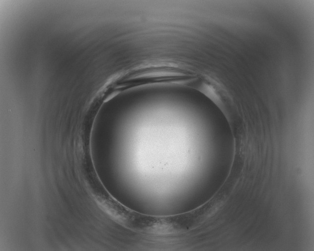 X0000081370256200701182146