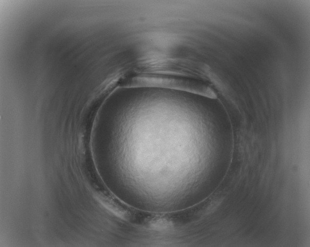 X0000081370258200701182146