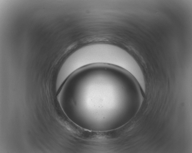 X0000081370260200701182146