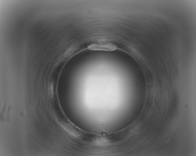 X0000081370262200701182146